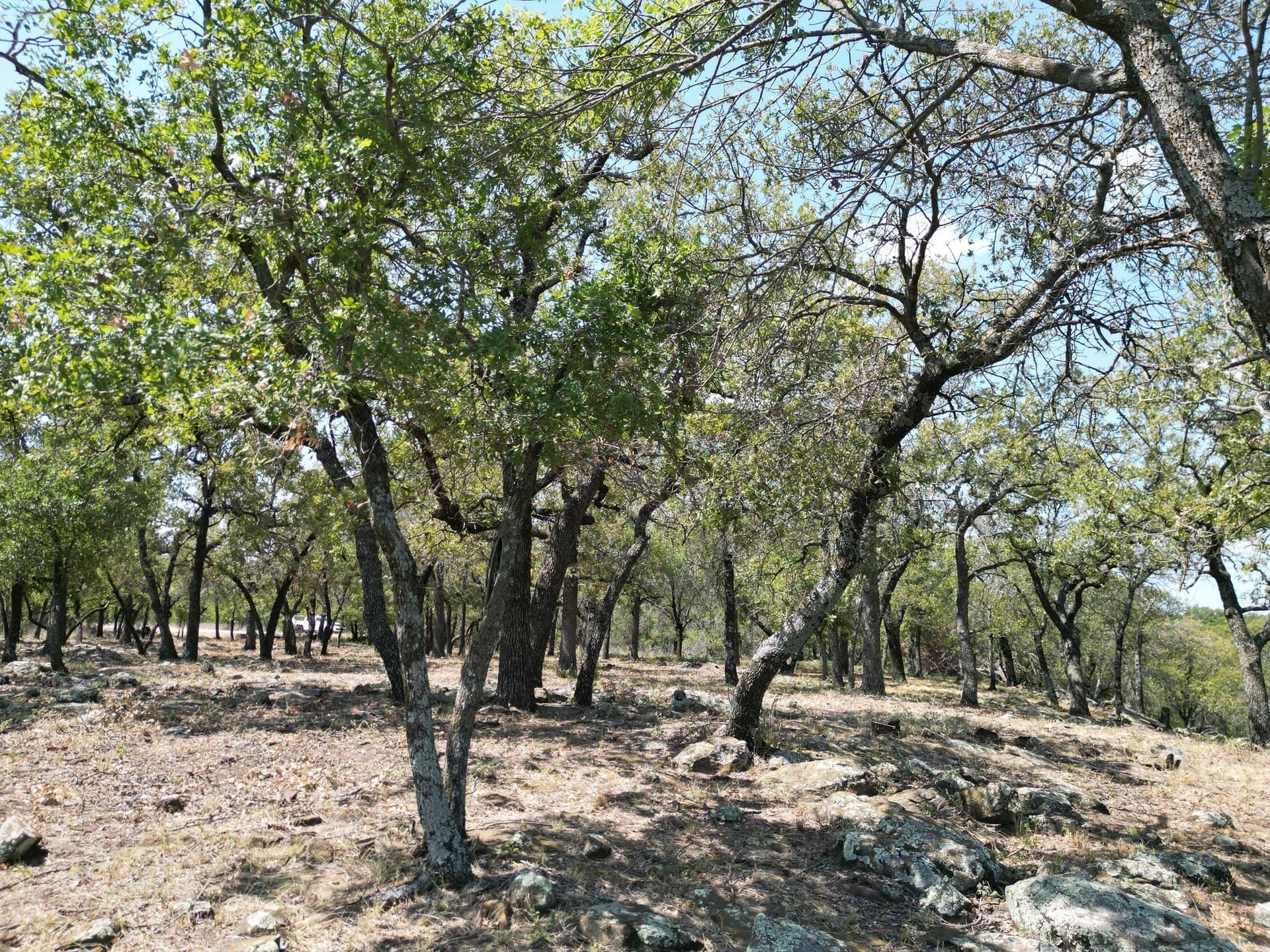 2.03 acres in Palo Pinto County - photo 7