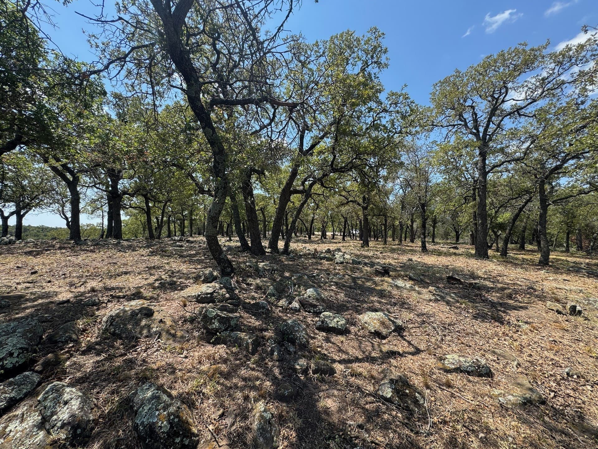 2.03 acres in Palo Pinto County - photo 20