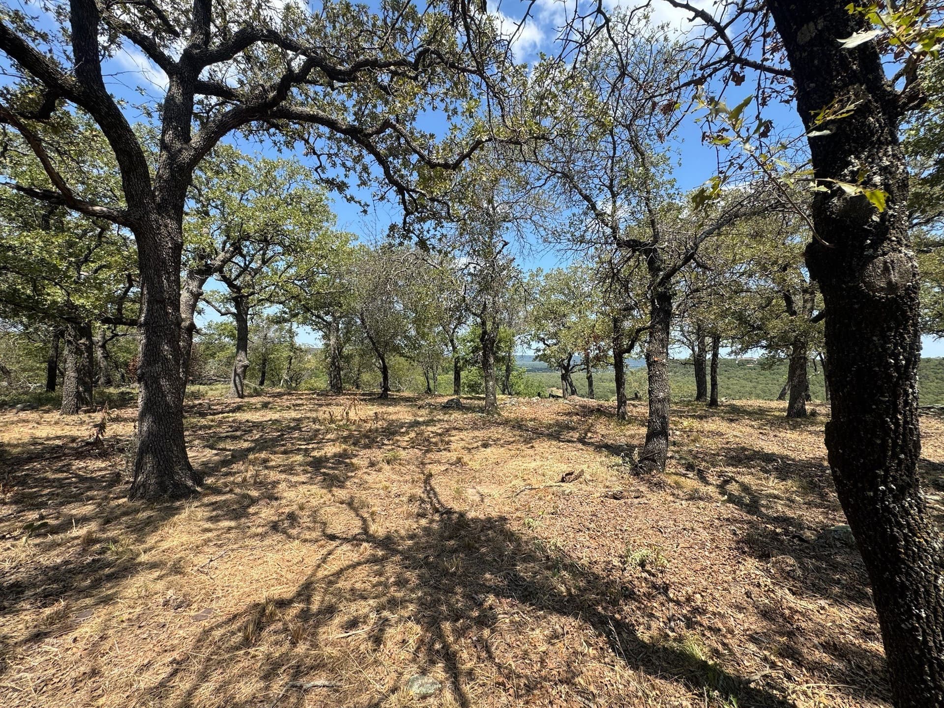 2.03 acres in Palo Pinto County - photo 27