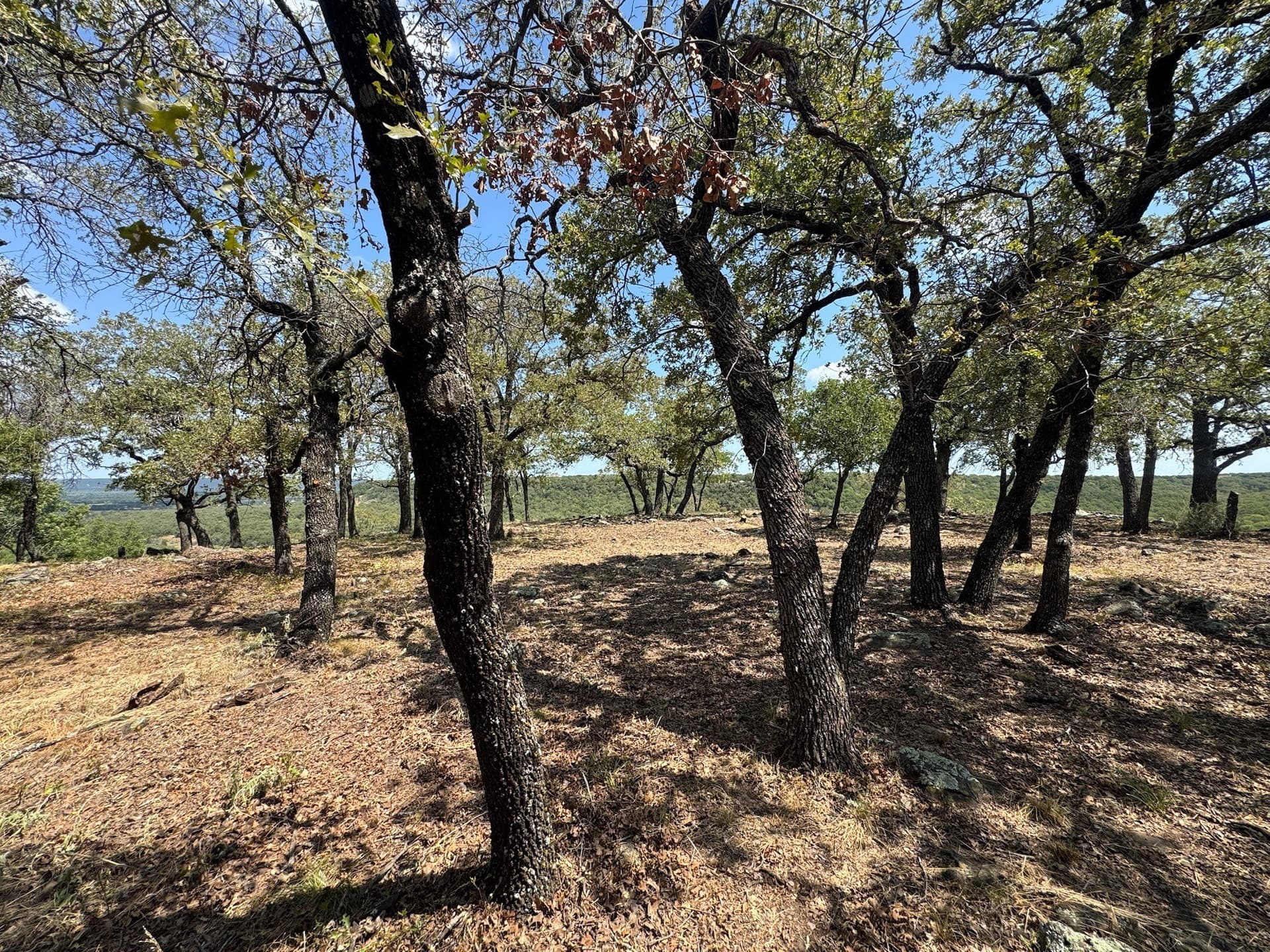 2.03 acres in Palo Pinto County - photo 26