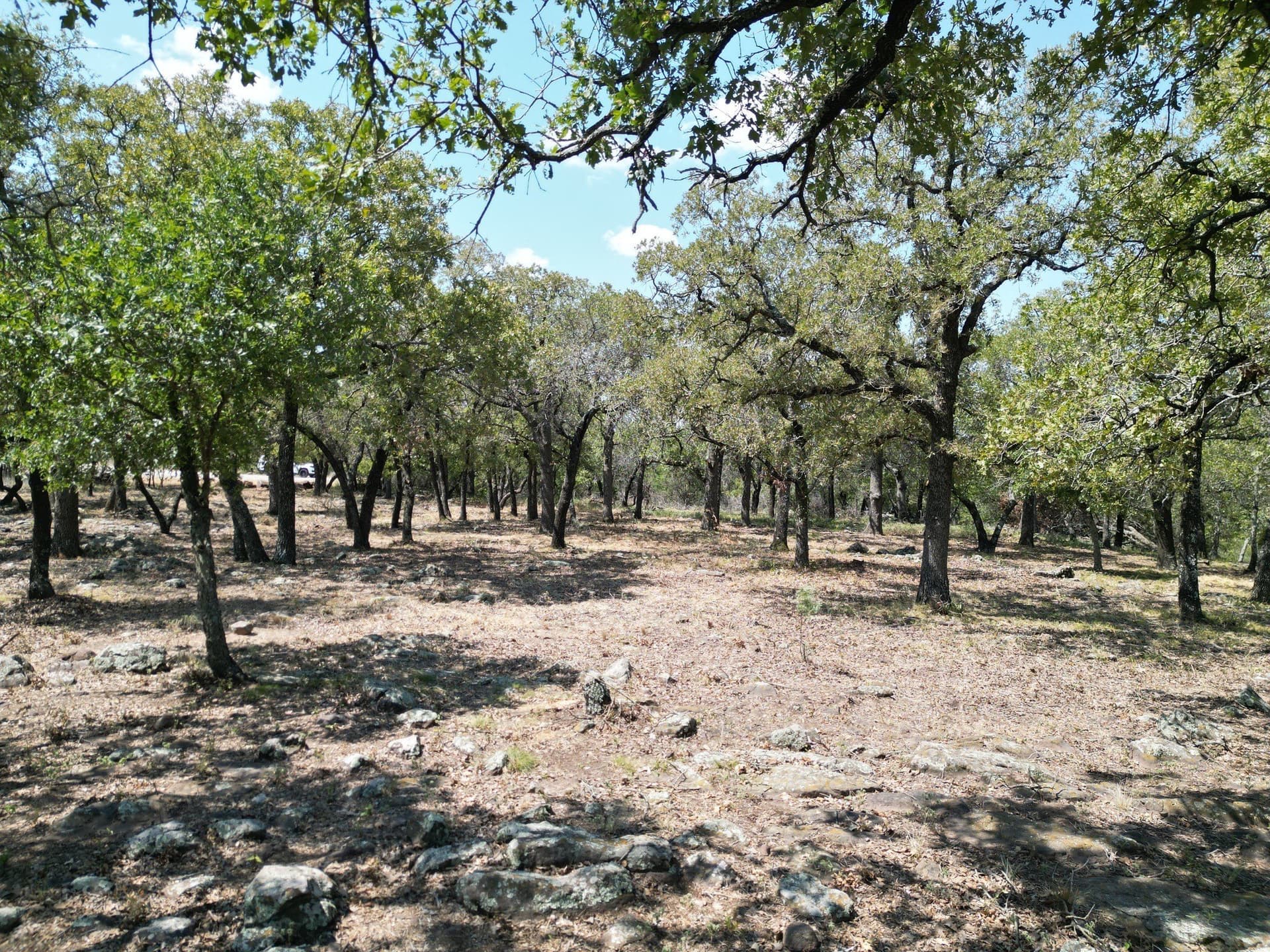 2.03 acres in Palo Pinto County - photo 14