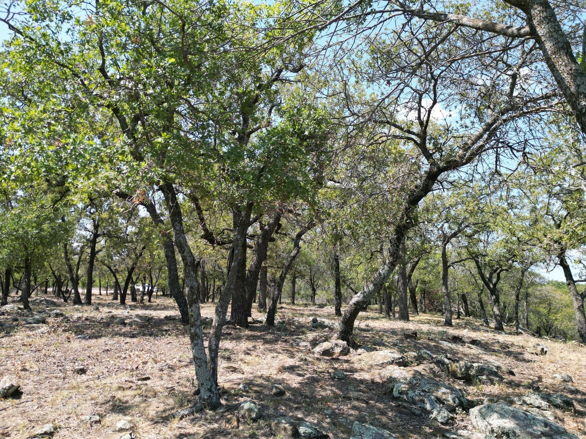 2.03 acres in Palo Pinto County - photo 8
