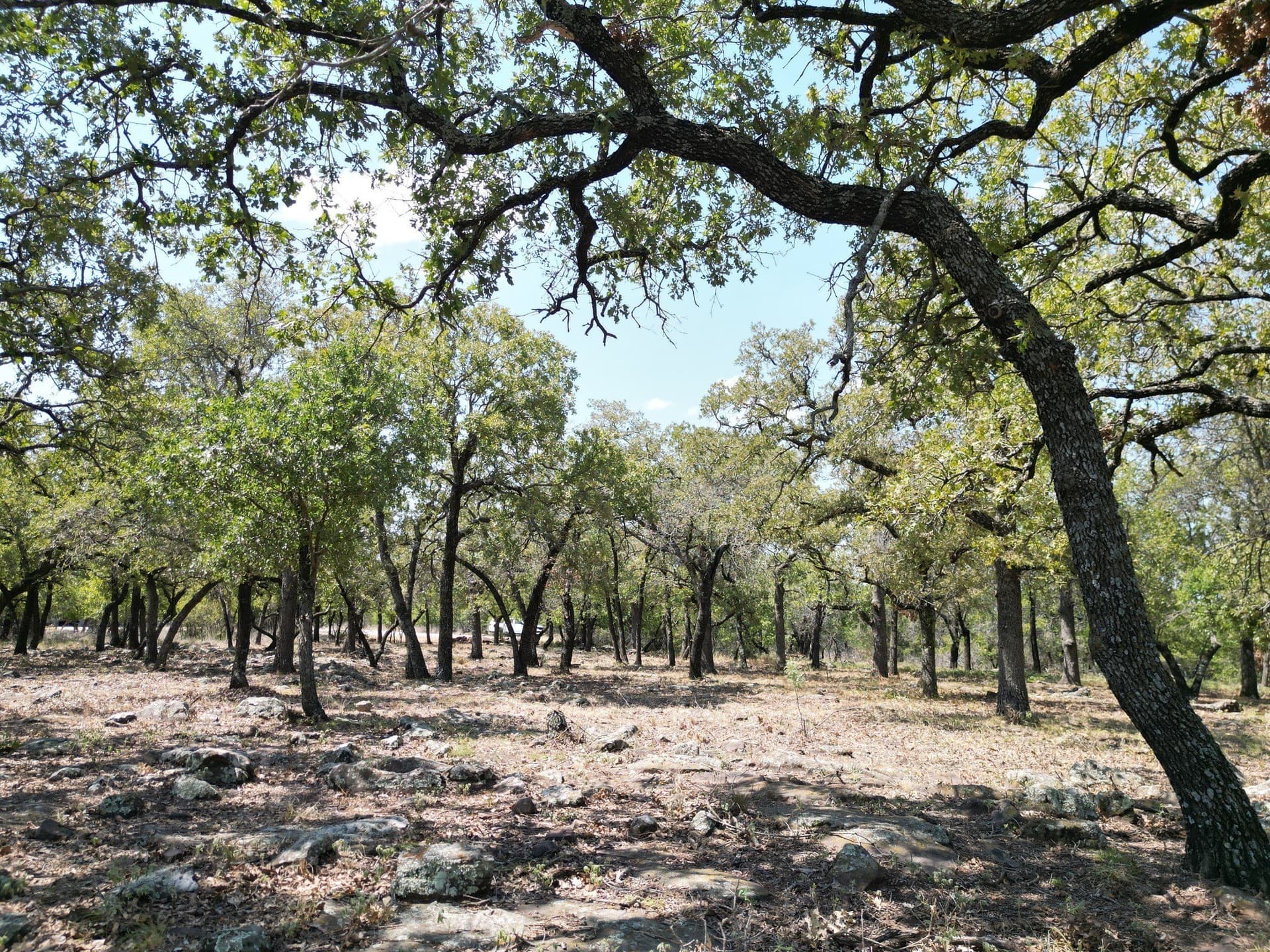 2.03 acres in Palo Pinto County - photo 6