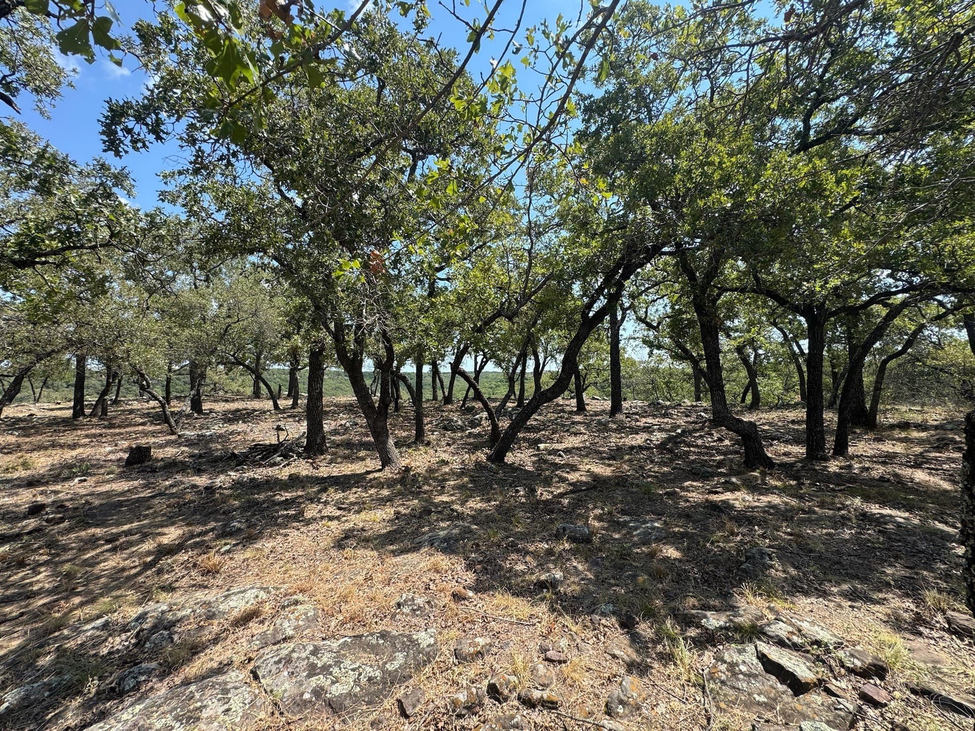 2.03 acres in Palo Pinto County - photo 28