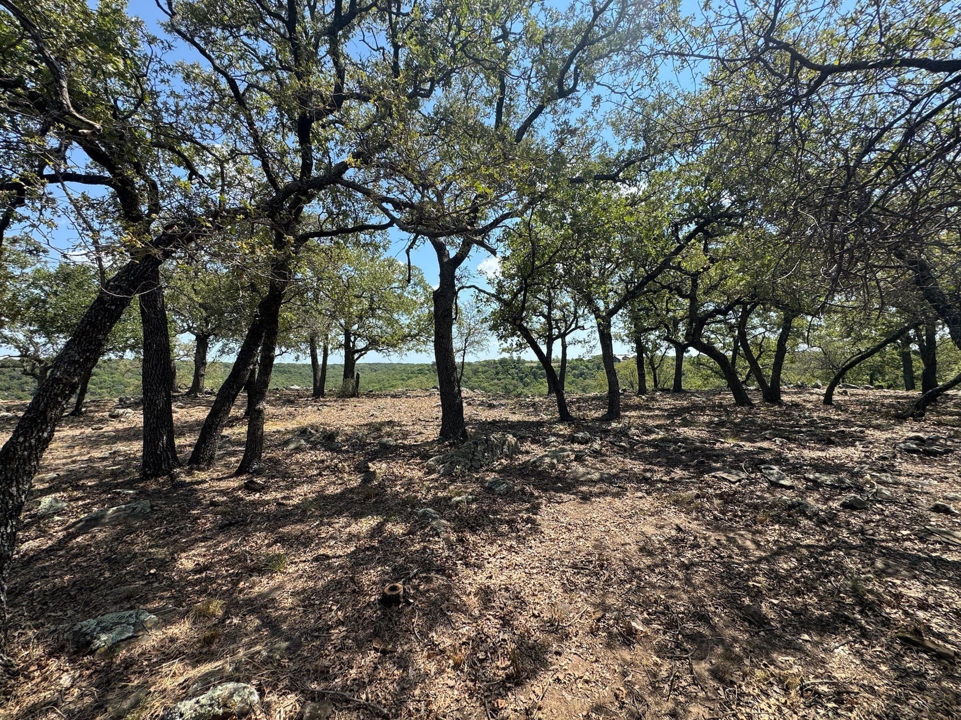 2.03 acres in Palo Pinto County - photo 25