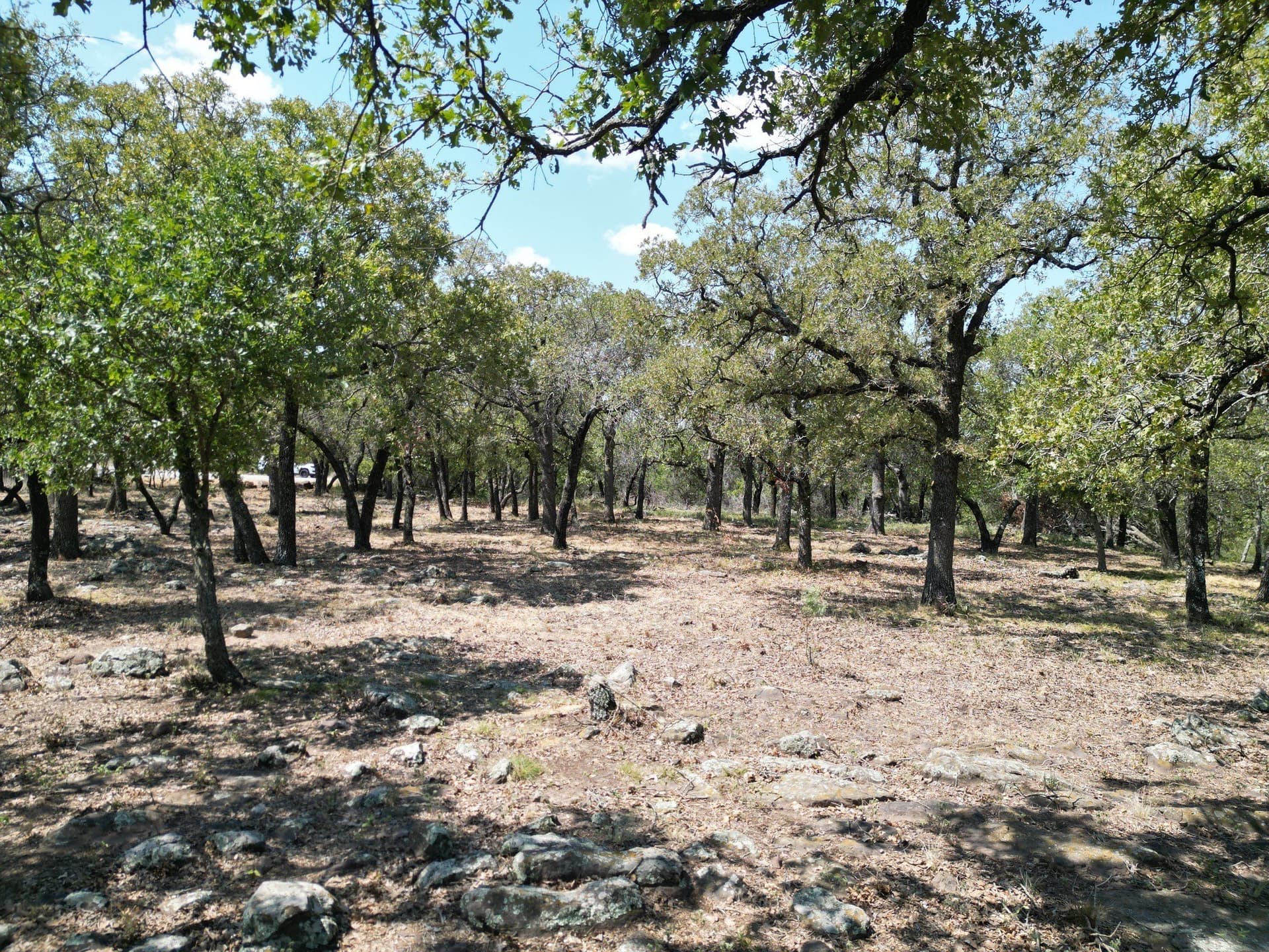 2.03 acres in Palo Pinto County - photo 13