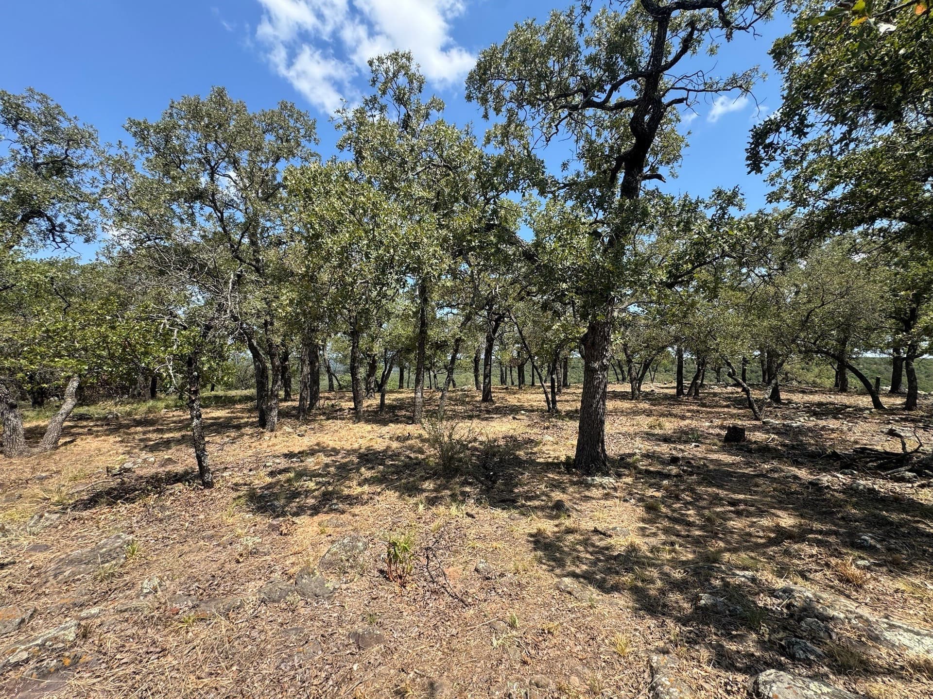 2.03 acres in Palo Pinto County - photo 29