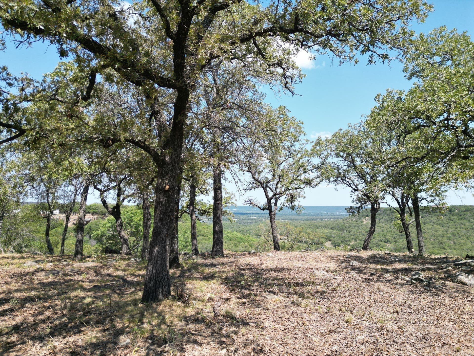2.03 acres in Palo Pinto County - photo 5