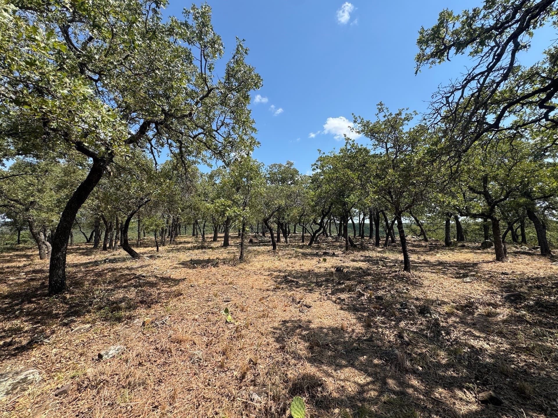 2.03 acres in Palo Pinto County - photo 30