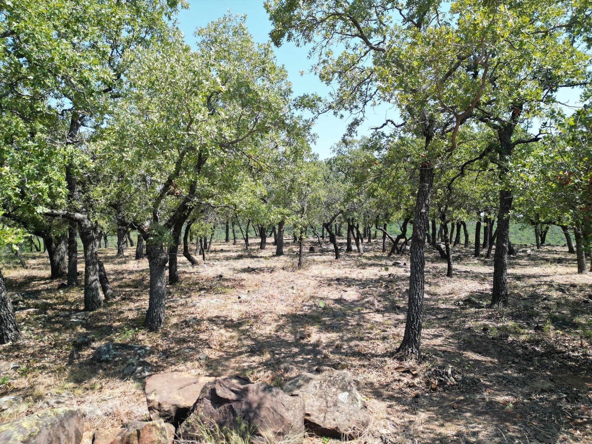 2.03 acres in Palo Pinto County - photo 15