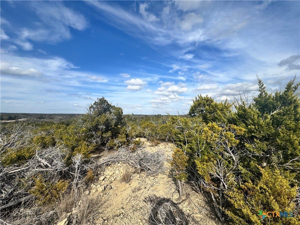 11.35 acres in Bell County gallery image 2