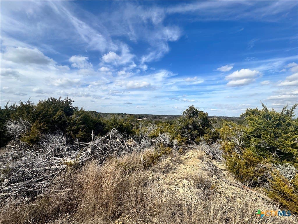 11.35 acres in Bell County - photo 27
