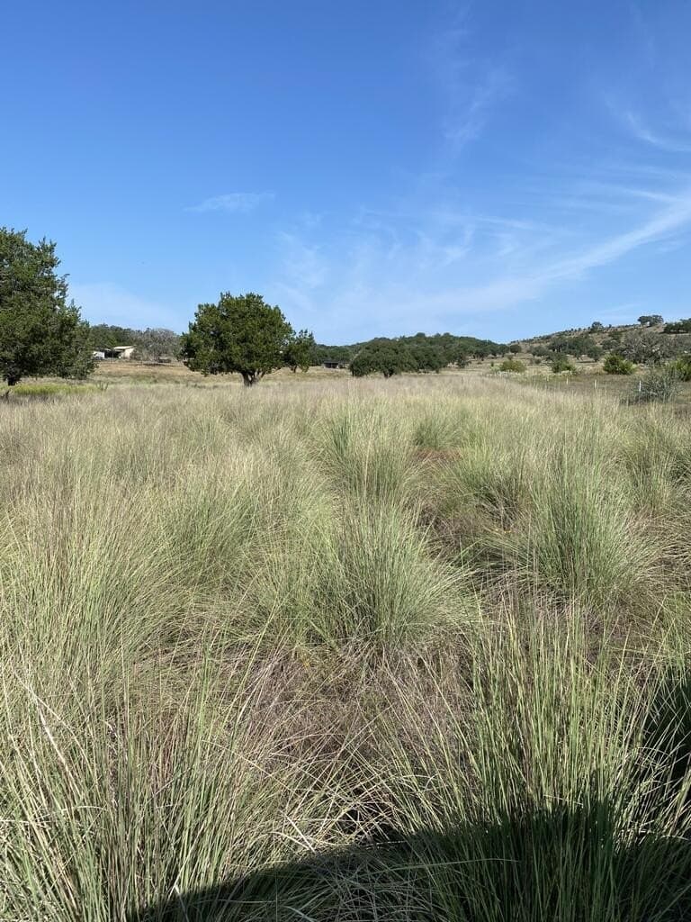 14.69 acres in Kerr County - photo 6