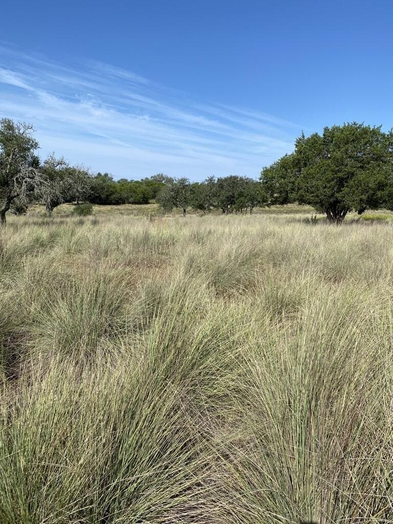 14.69 acres in Kerr County - photo 7