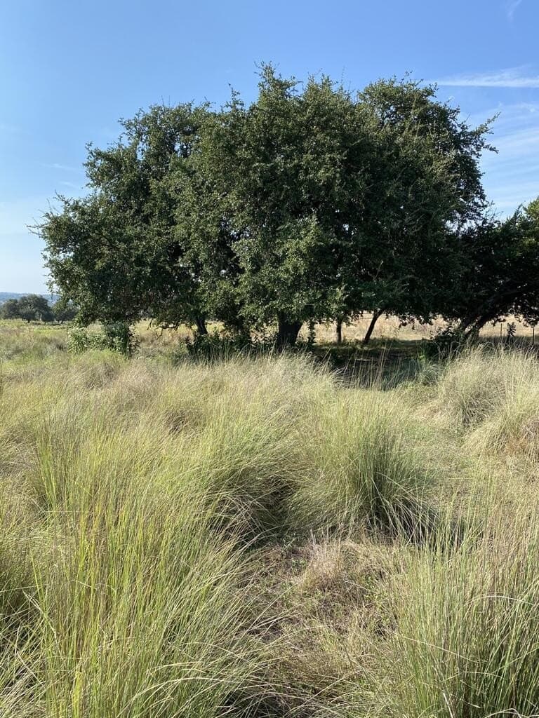 14.69 acres in Kerr County - photo 10