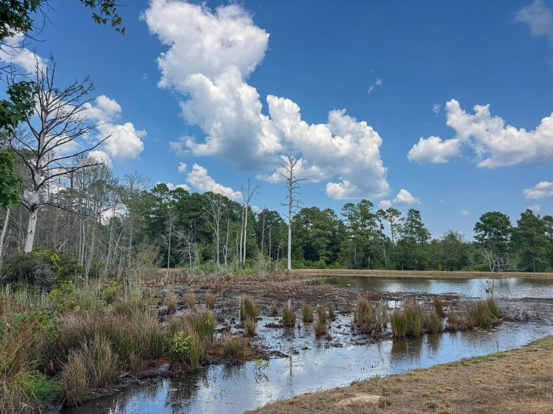 52.94 acres in Marion County - photo 47