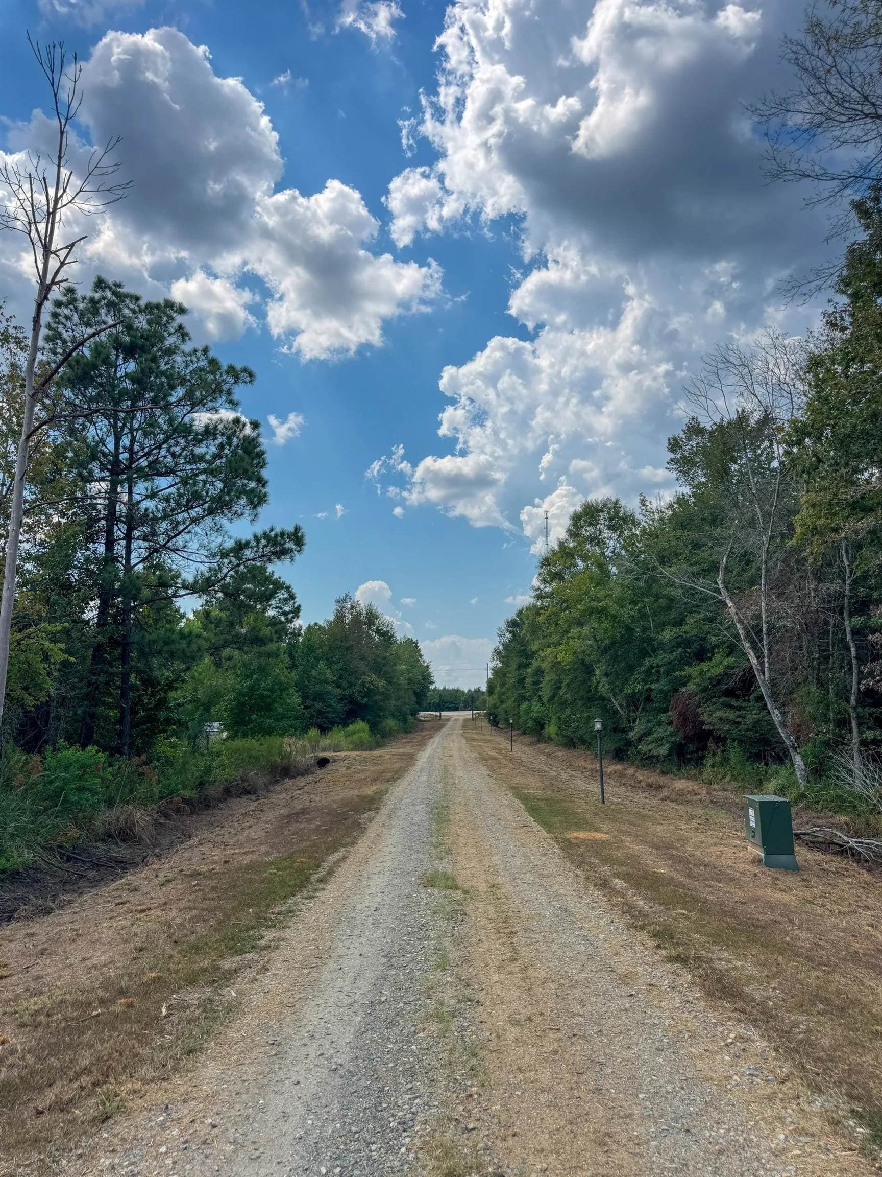 52.94 acres in Marion County - photo 50