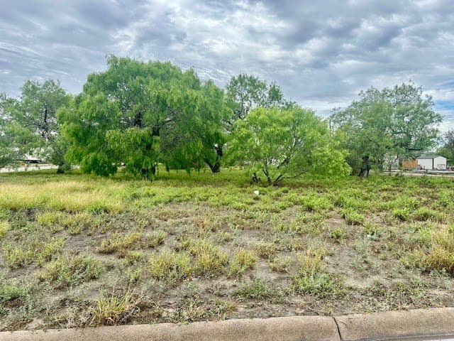 0.16 acres in Kleberg County