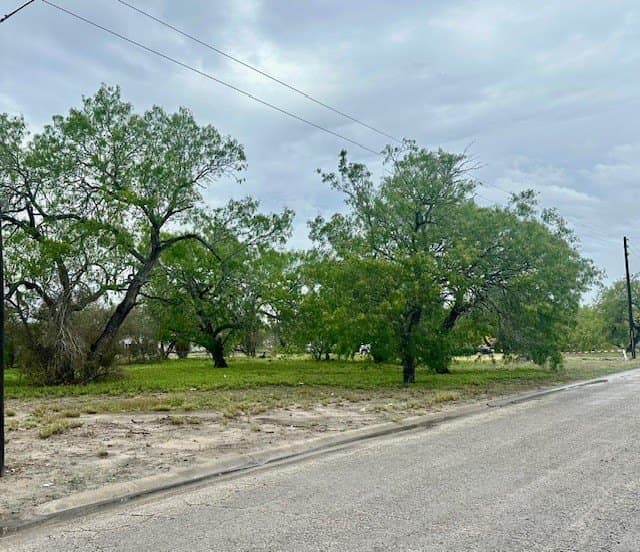 0.16 acres in Kleberg County featured view