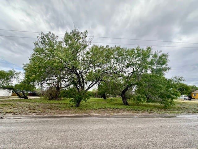 0.16 acres in Kleberg County gallery image 4