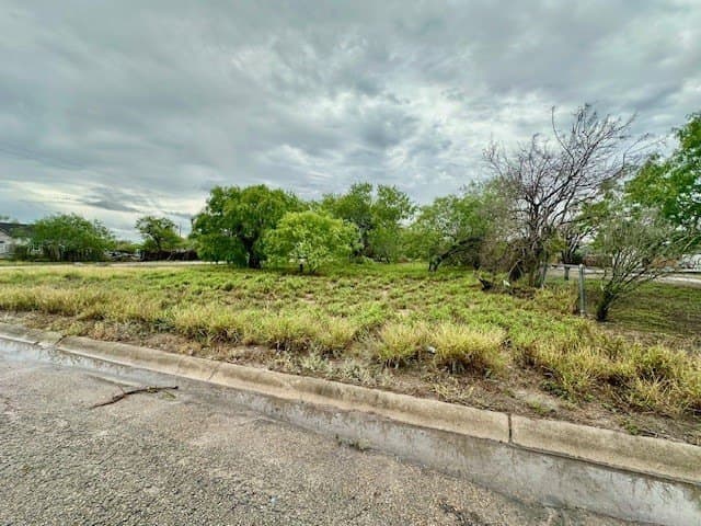 0.16 acres in Kleberg County gallery image 3