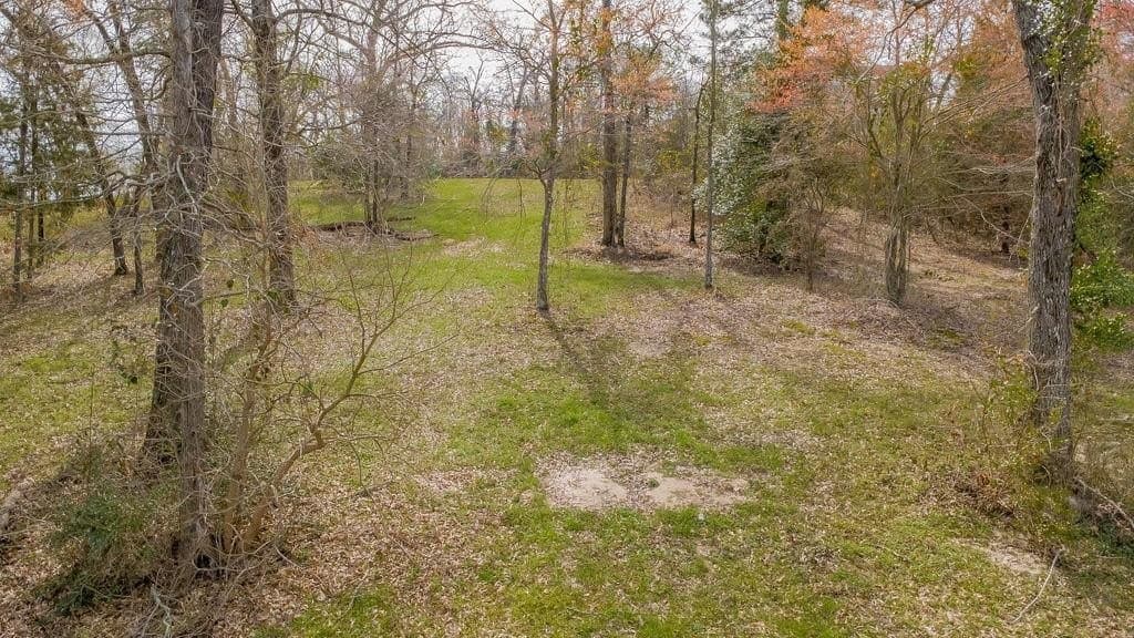 0.91 acres in Smith County gallery image 3