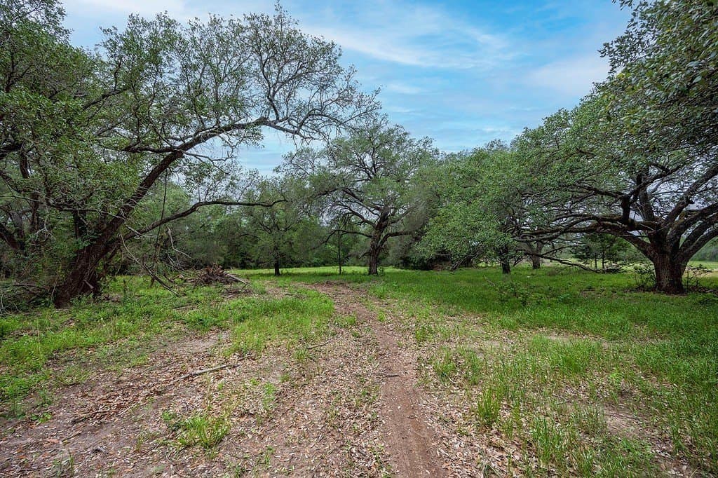 11 acres in Fayette County gallery image 4