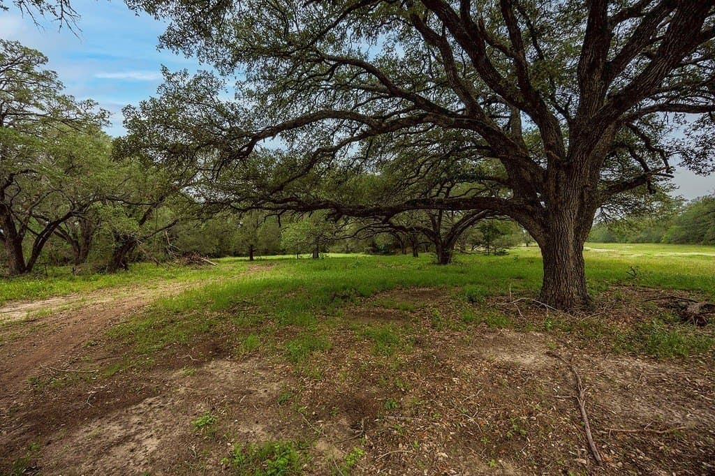 11 acres in Fayette County gallery image 3