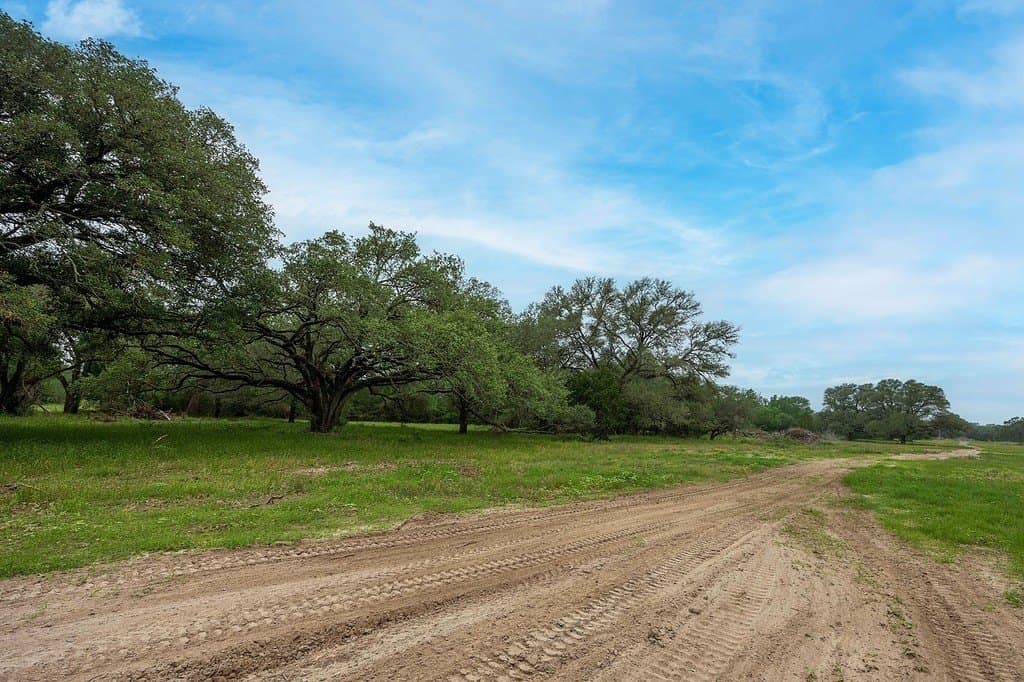 11 acres in Fayette County gallery image 2