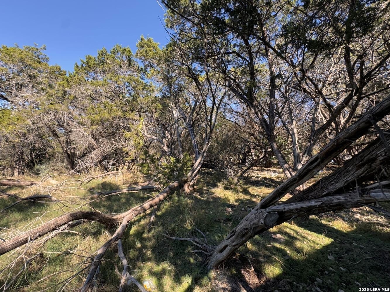 0.16 acres in Bandera County - photo 7