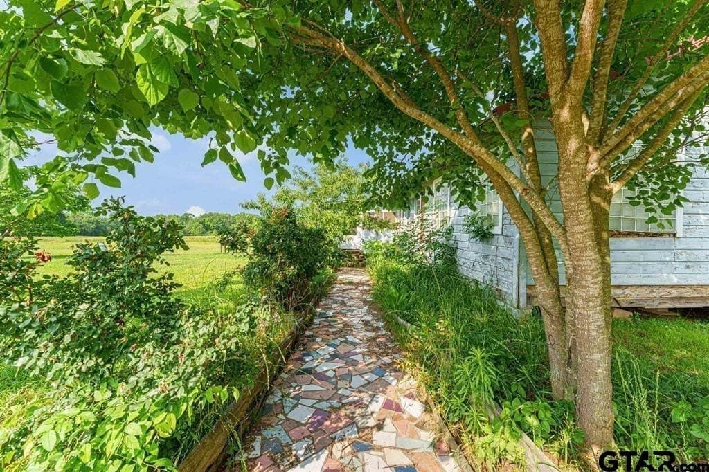 49.2 acres in Hopkins County featured view