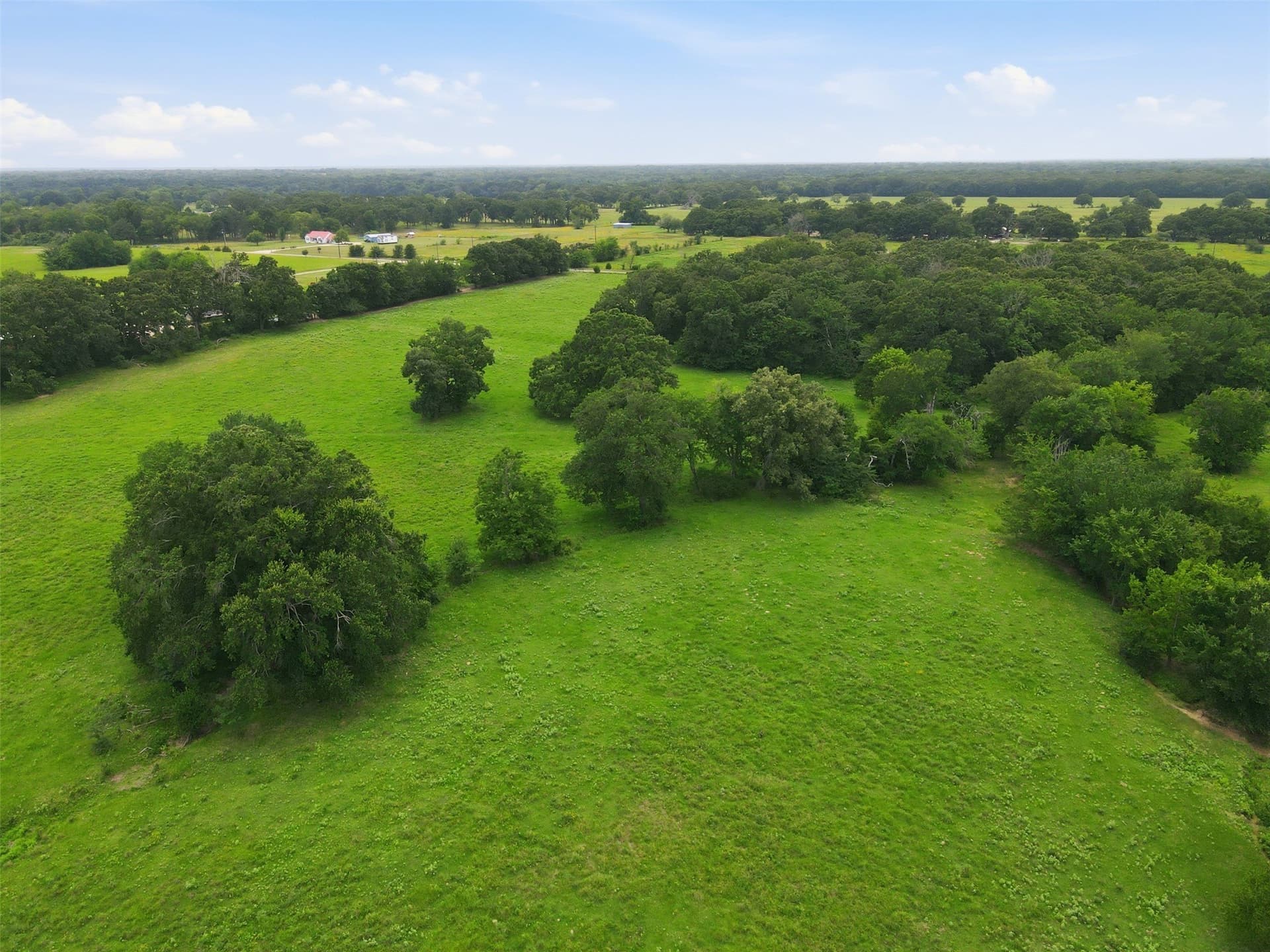 20 acres in Hopkins County - photo 11