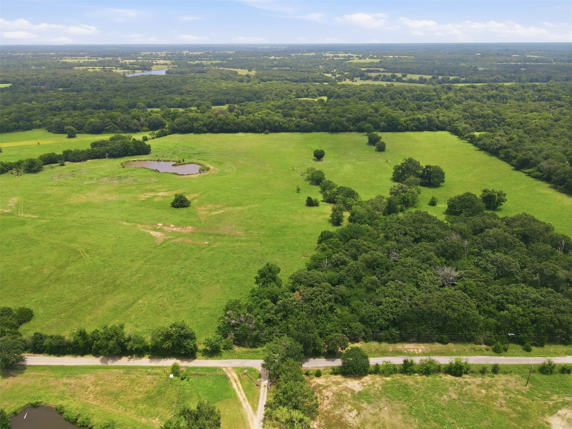 20 acres in Hopkins County gallery image 4