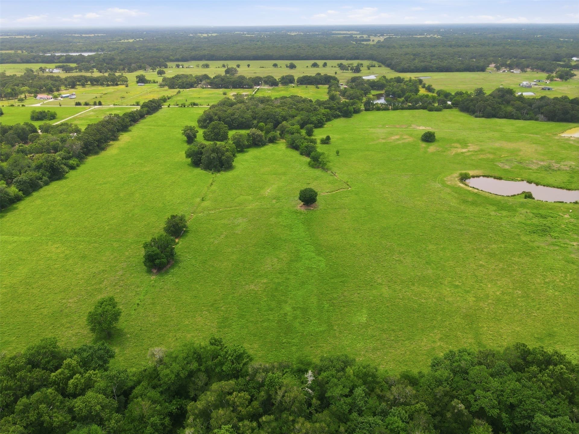 20 acres in Hopkins County - photo 8