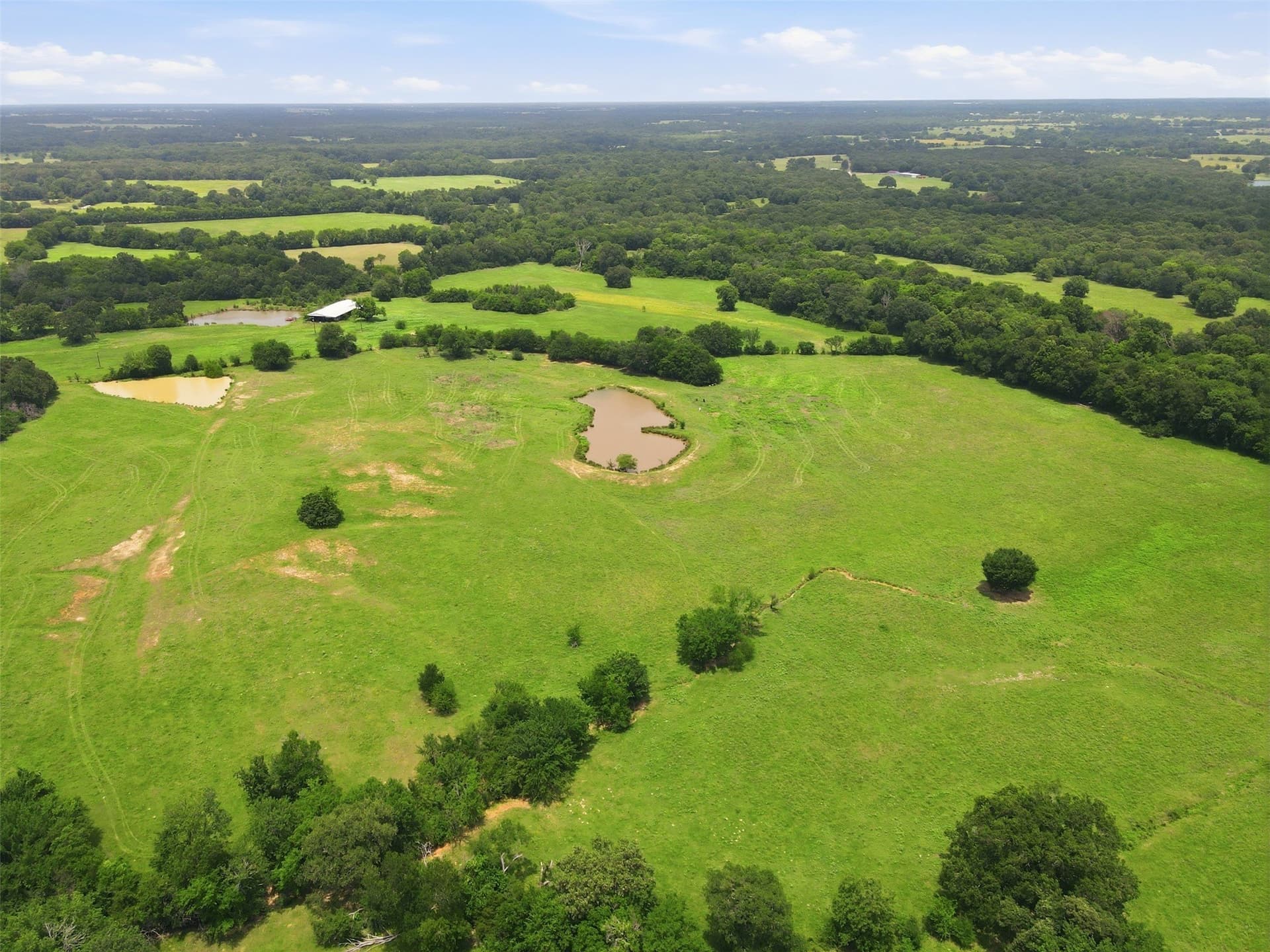 20 acres in Hopkins County - photo 6