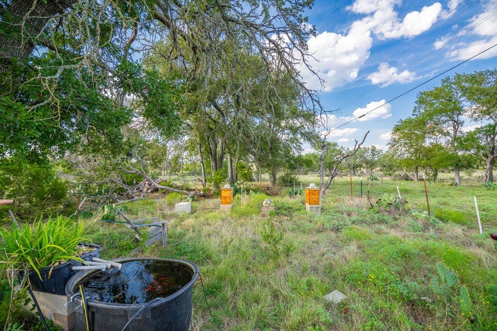 21 acres in Gillespie County - photo 32