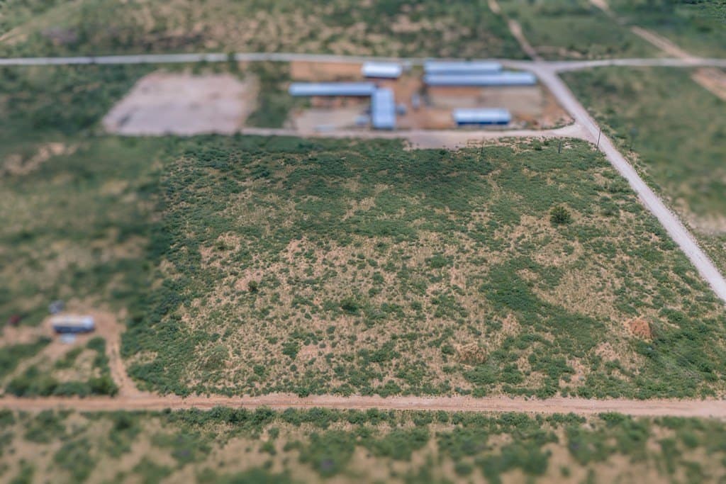 4.73 acres in Midland County gallery image 2