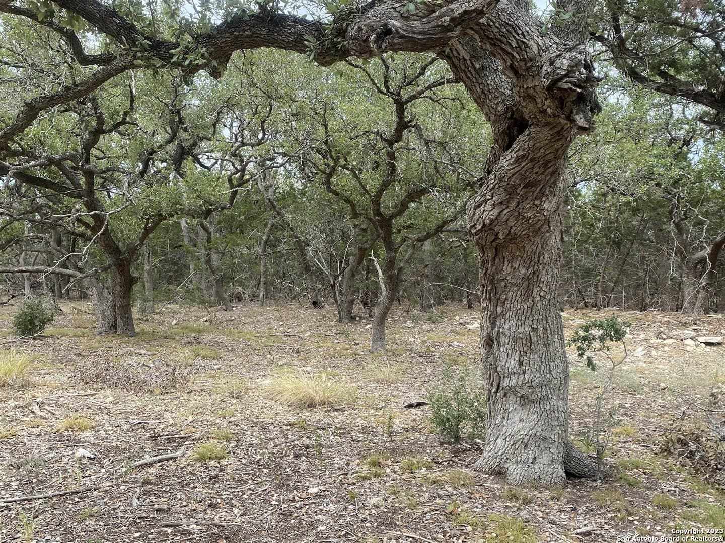 1.01 acres in Comal County - photo 5