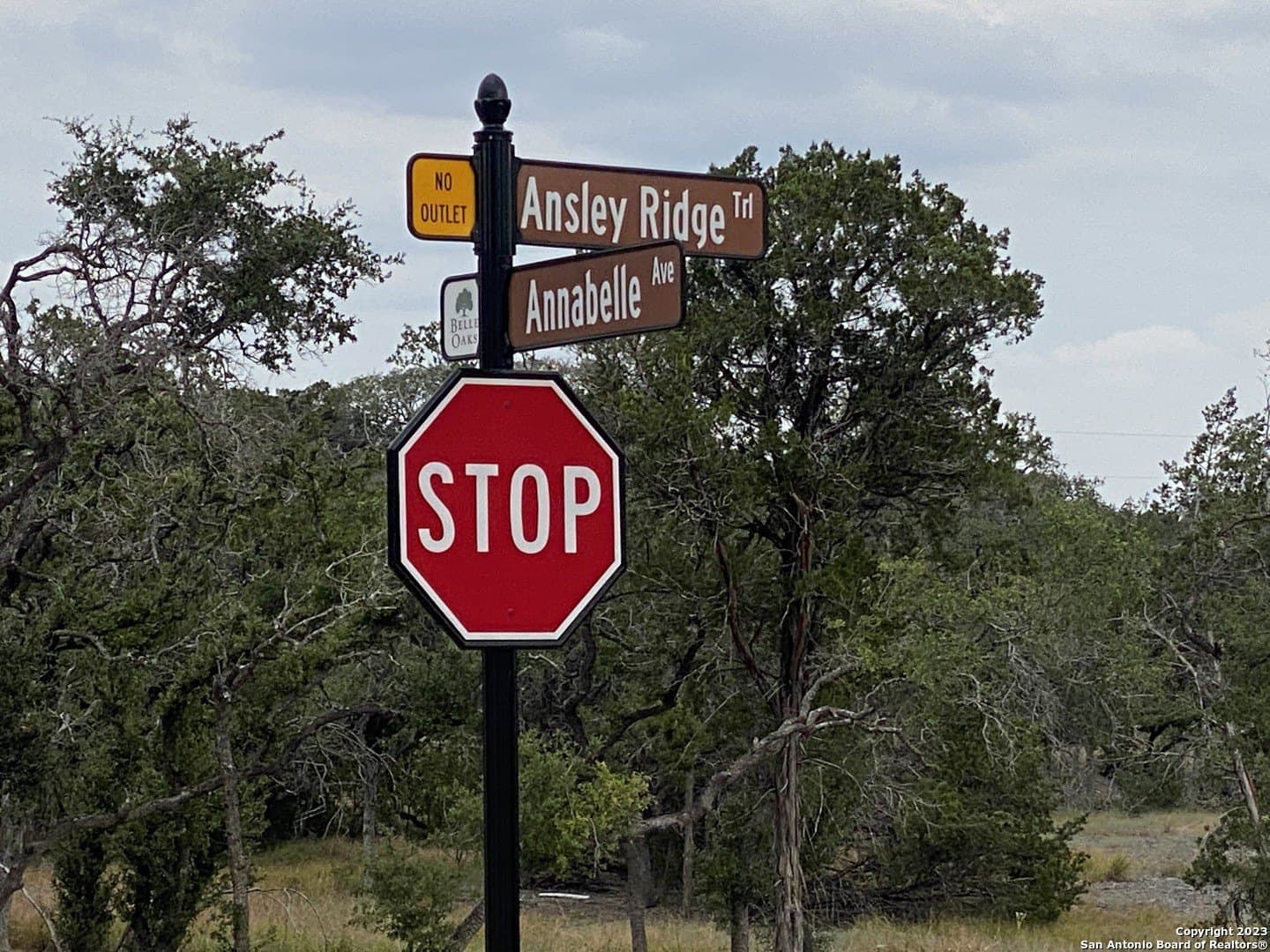 1.01 acres in Comal County - photo 13