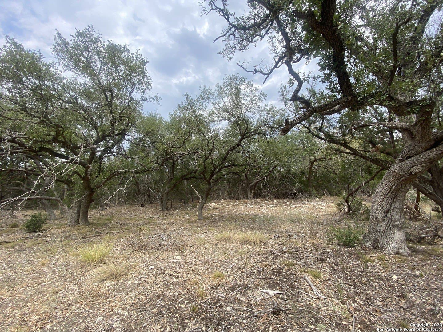 1.01 acres in Comal County - photo 6