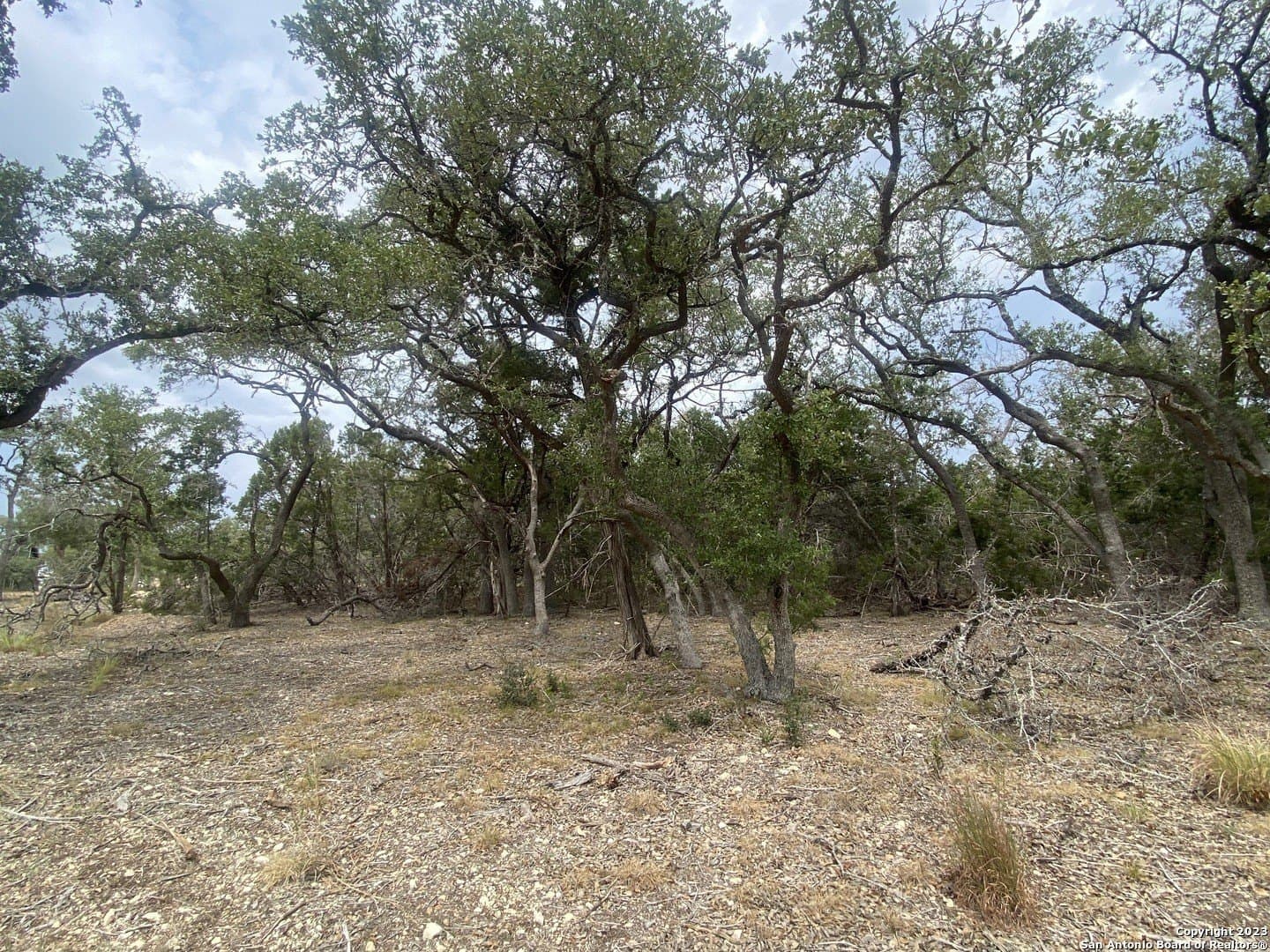 1.01 acres in Comal County - photo 7