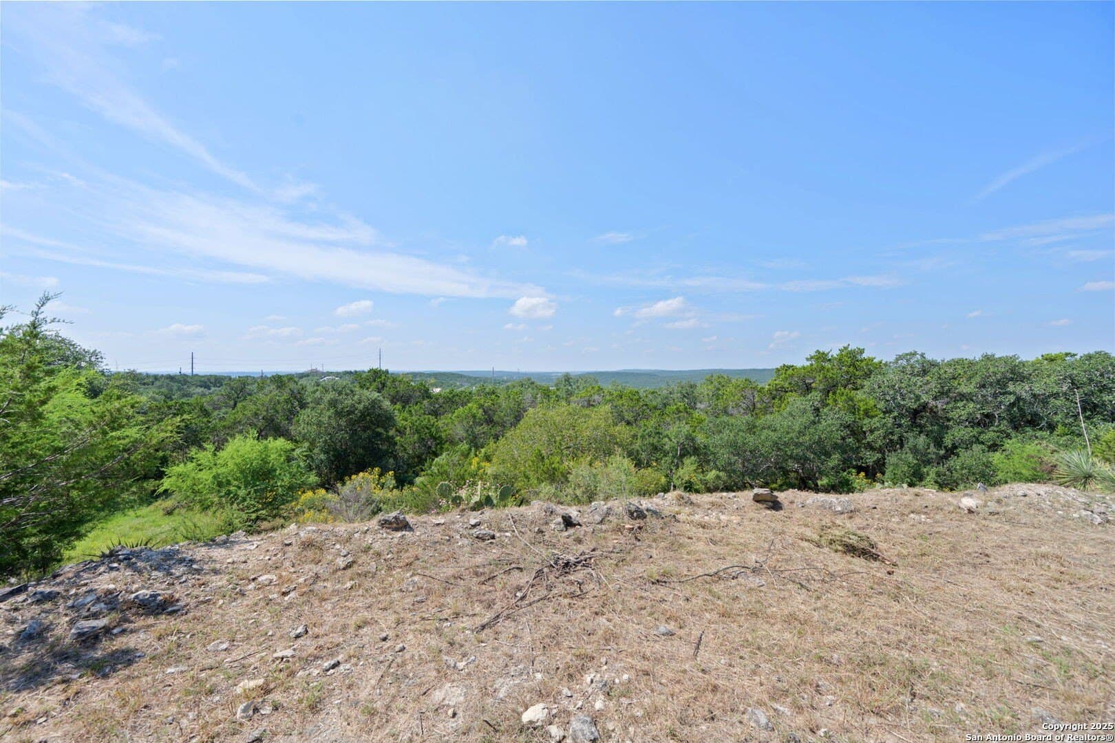 0.88 acres in Bexar County - photo 15