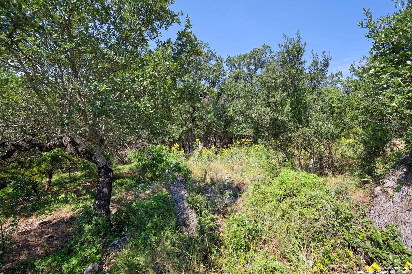 0.88 acres in Bexar County - photo 8