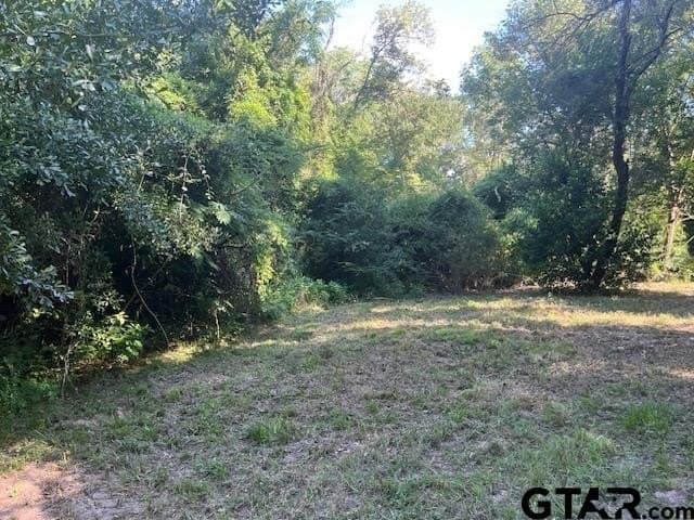 0.2 acres in Henderson County gallery image 2