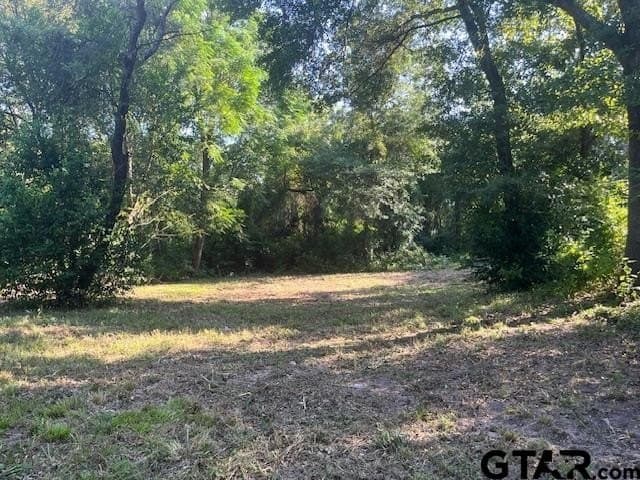 0.2 acres in Henderson County gallery image 3