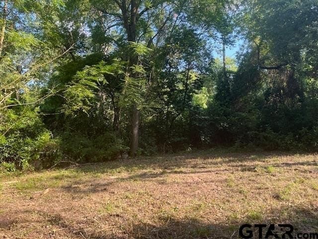 0.2 acres in Henderson County featured view