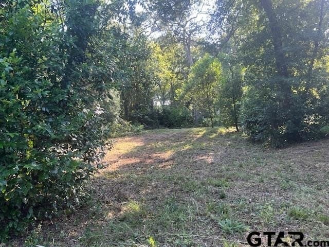 0.2 acres in Henderson County gallery image 4