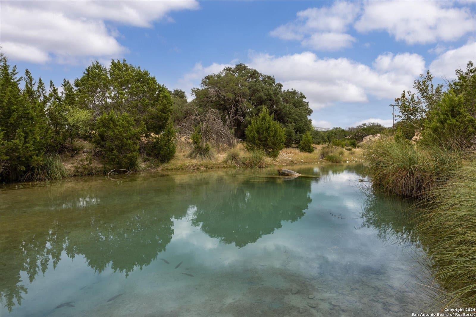 68.72 acres in Real County - photo 44