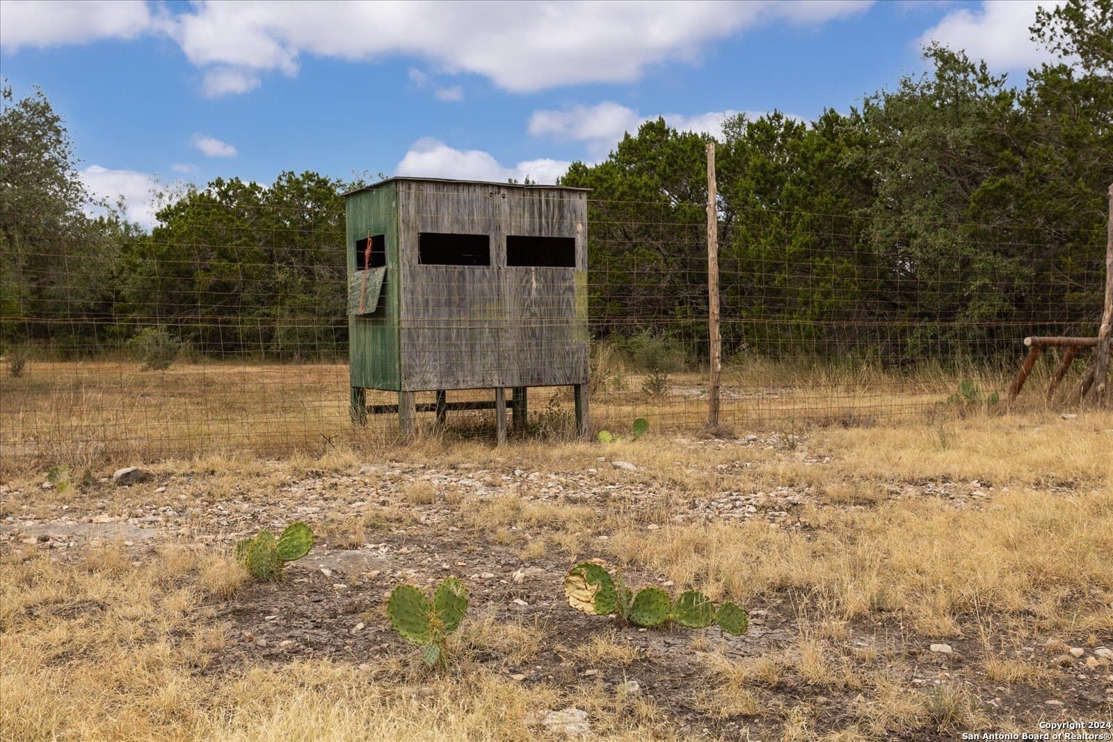 68.72 acres in Real County - photo 26