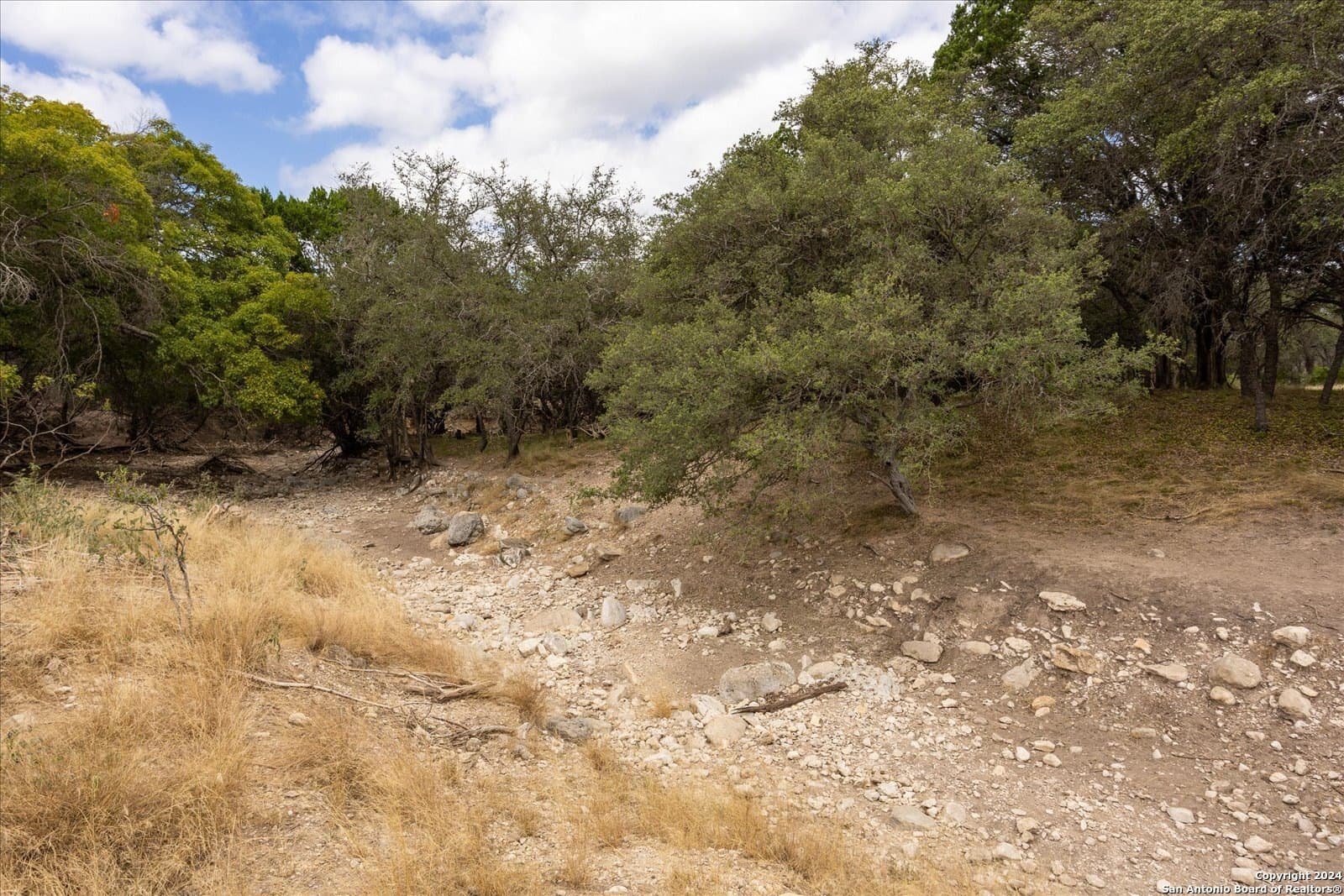 68.72 acres in Real County - photo 34